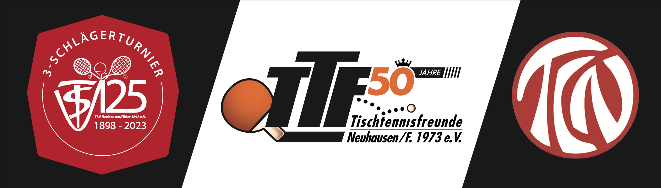 TSV NF Banner 3 Logos neu